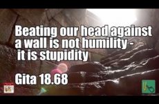 Beating our head against a wall is not humility it is stupidity Gita 18 68