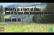 Misery is a fact of life, but it is not the purpose of life Gita 08.15