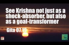 See Krishna not just as a shock-absorber, but also as a goal-transformer Gita 07.19
