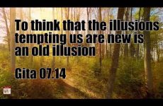 To think that the illusions tempting us are new is an old illusion Gita 07.14